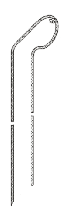 CORD