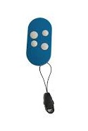 CAME remote control